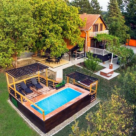 Villa Dijana - Pool, Spa, Outdoor Kitchen 贝尔格莱德 外观 照片