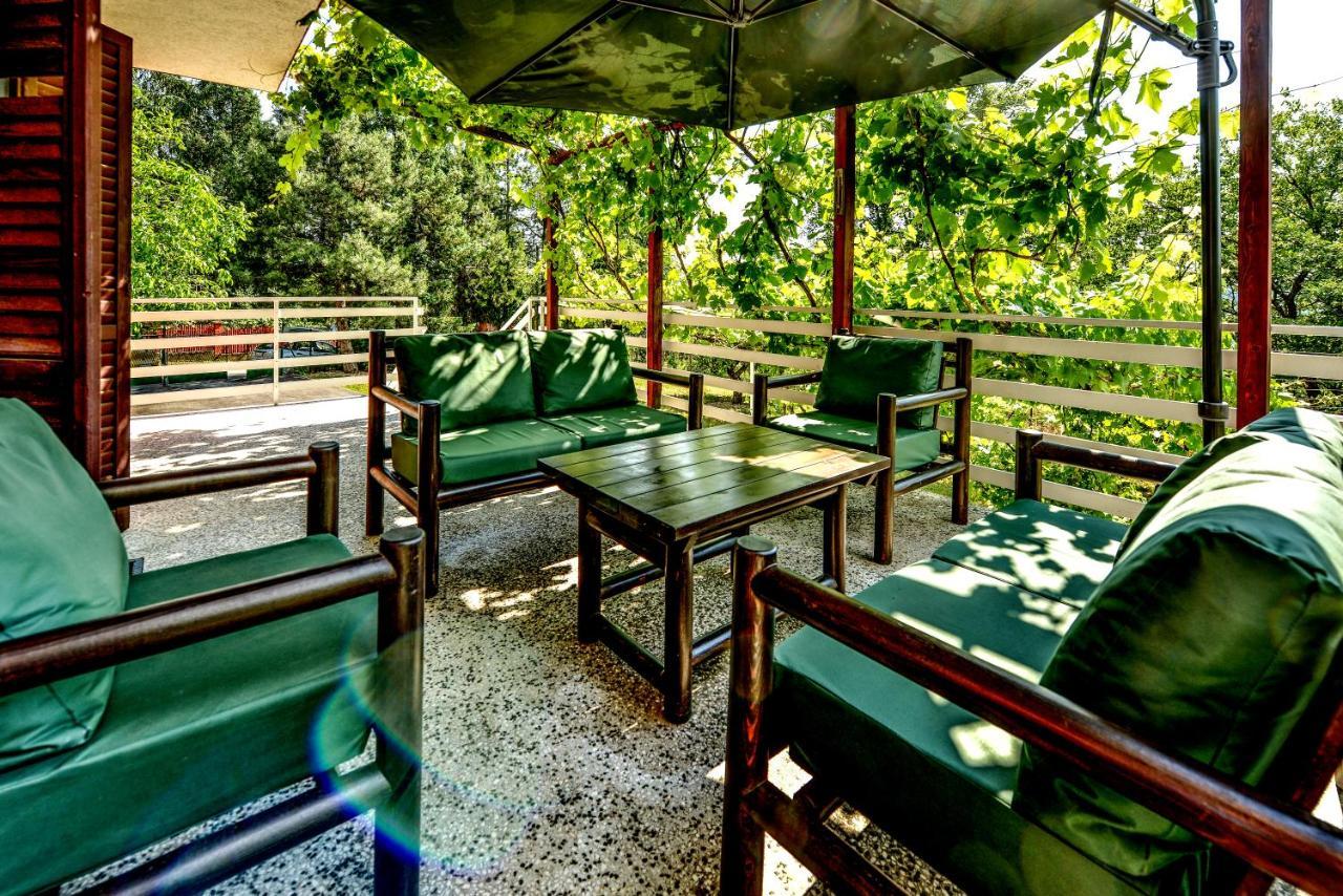 Villa Dijana - Pool, Spa, Outdoor Kitchen 贝尔格莱德 外观 照片